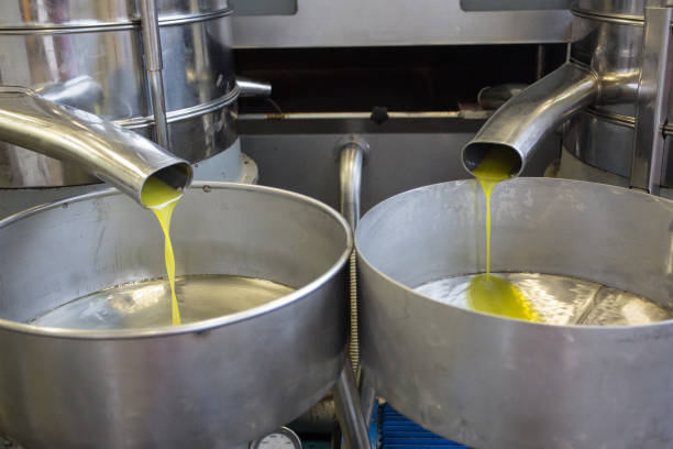 fresh pressed olive oil stock photo