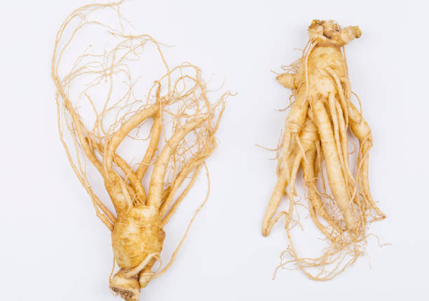 istock fresh and healthy ginseng isolated on white background 1083721800