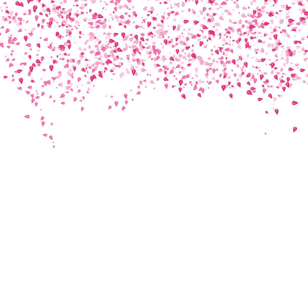 istock Sakura scatter pink leaves falling concept on white abstract background textured nature 1083723288