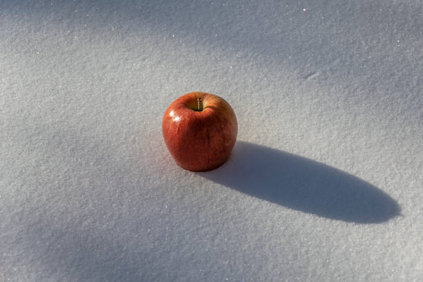 winter still life slightly rotten apples red fruits on a wooden window sill outdoor space with frozen environment autumn falling leaves end of November beginning of December season aesthetic