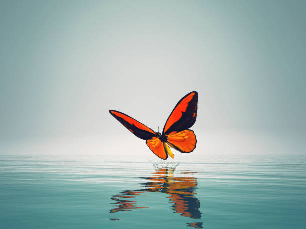 A red butterfly on sea. This is a 3d render illustration