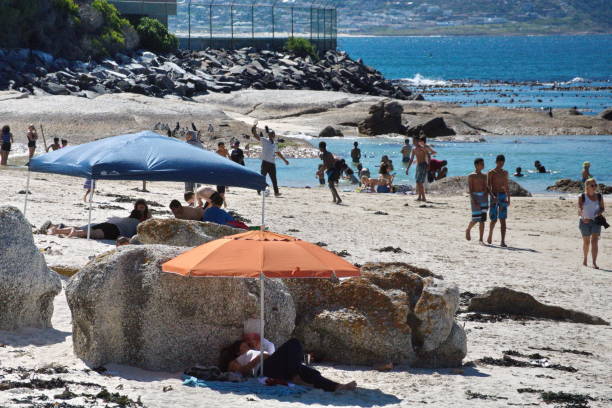 colorful umbrellas on the beach - cape town beach crowd people imagens e fotografias de stock