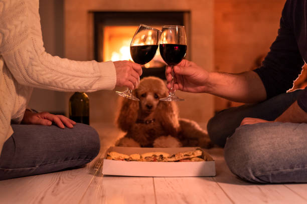istock Young couple have romantic dinner with pizza and wine over fireplace background. 1083736502