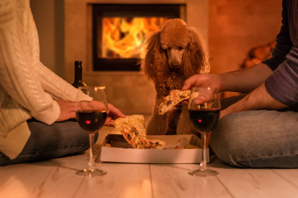 istock Young couple have romantic dinner with pizza and wine over fireplace background. 1083736520