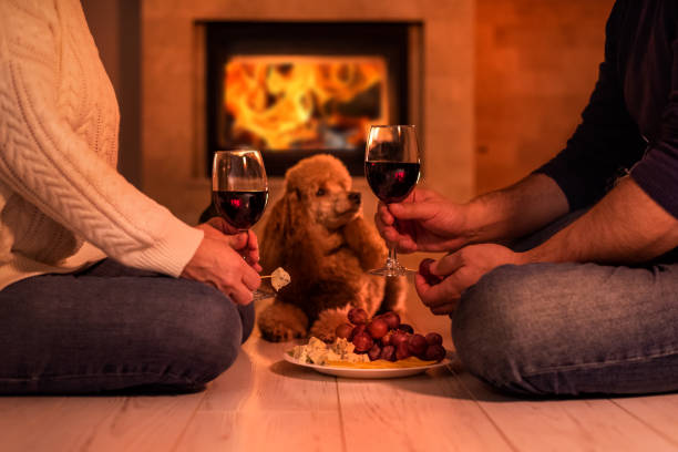 istock Young couple have romantic dinner with wine over fireplace background. 1083736528