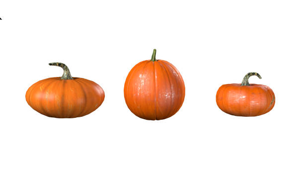istock 3d render of pumpkin on white background 1083737874