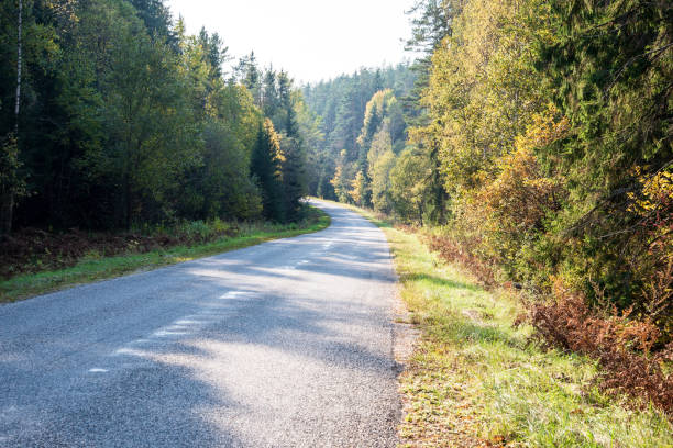 istock summer asphalt road in perspective 1083737880