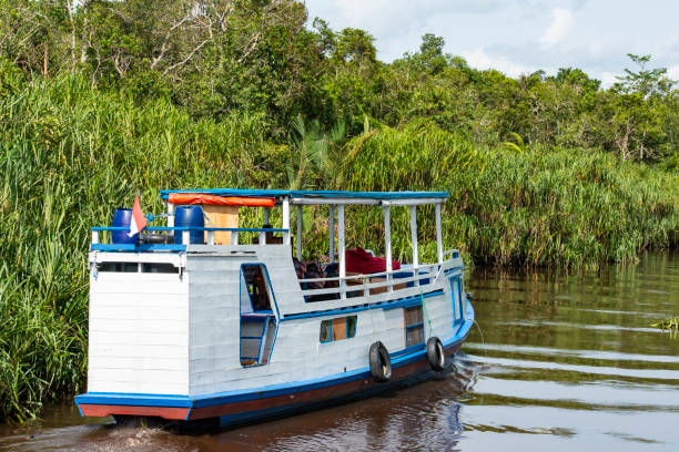 traditionellen klotok boot borneo, zentral-kalimantan - tanjung-puting-reservat stock-fotos und bilder