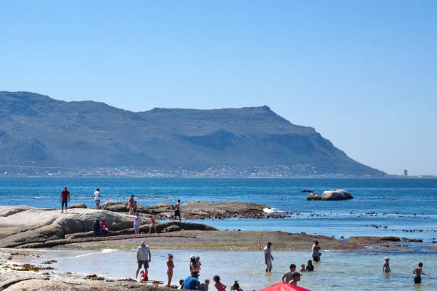 menschen, die in einer bucht schwimmen - cape town beach crowd people stock-fotos und bilder