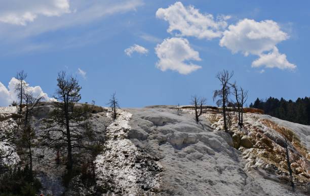 istock Mammoth Hot Springs Yellowstone National Park 1083740412