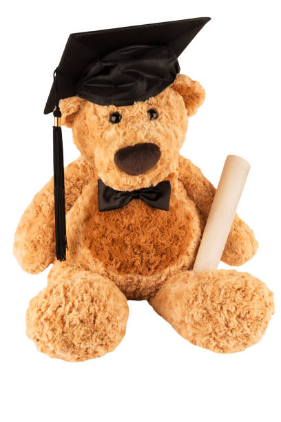 istock Teddy bear with bow tie, cap and diploma isolated on white background. 1083743264