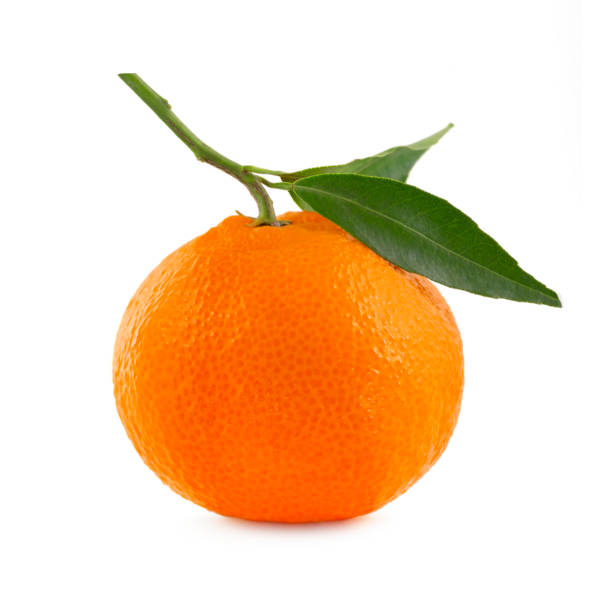 istock Tangerine with leaves on white background. 1083747242
