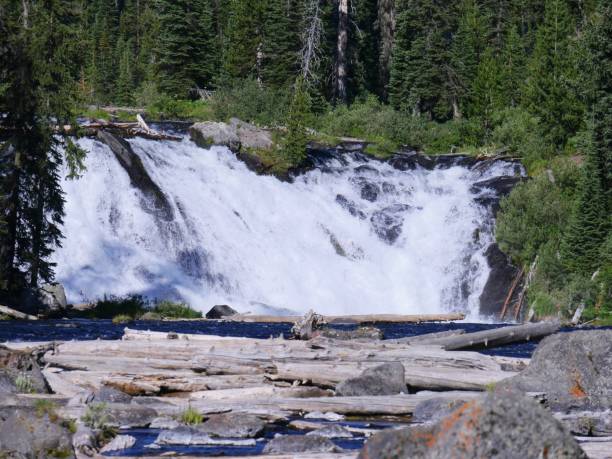 istock Lewis Falls, Wyoming 1083747292