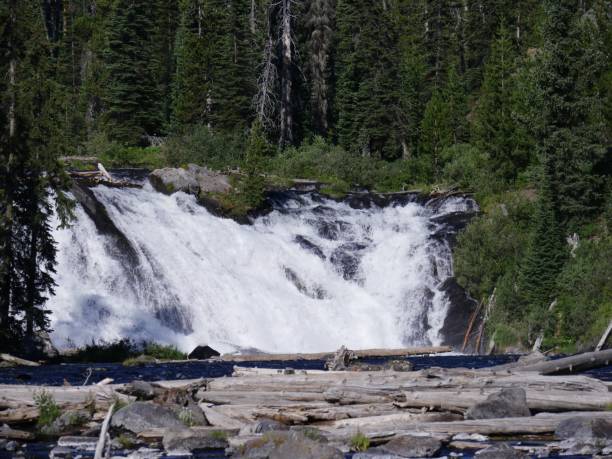 istock Lewis Falls, Yellowstone National Park 1083747354