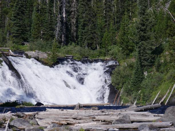 istock Lewis Falls, Yellowstone National Park 1083747378