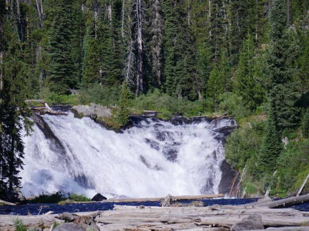istock Lewis Falls, Yellowstone National Park 1083747380