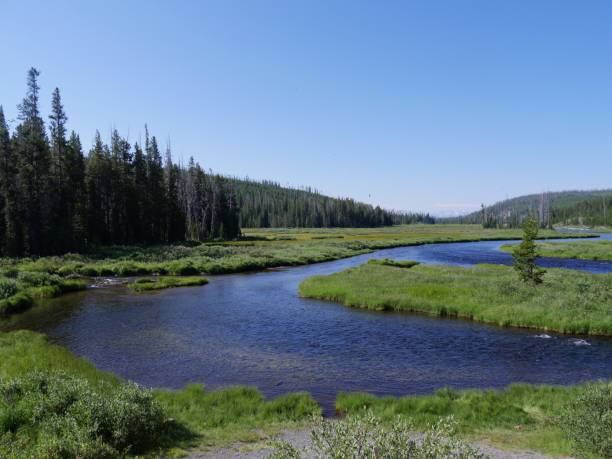istock Lewis River, Yellowstone National Park 1083747484