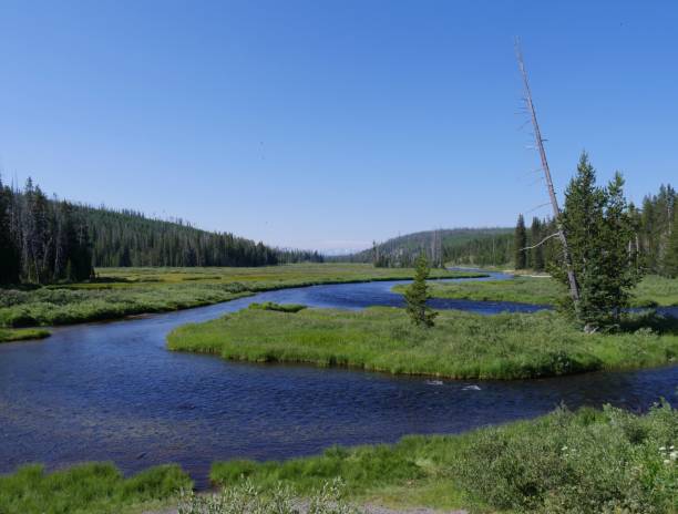 istock Lewis River, Yellowstone National Park 1083747624