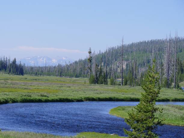 istock Lewis River, Yellowstone National Park 1083747658