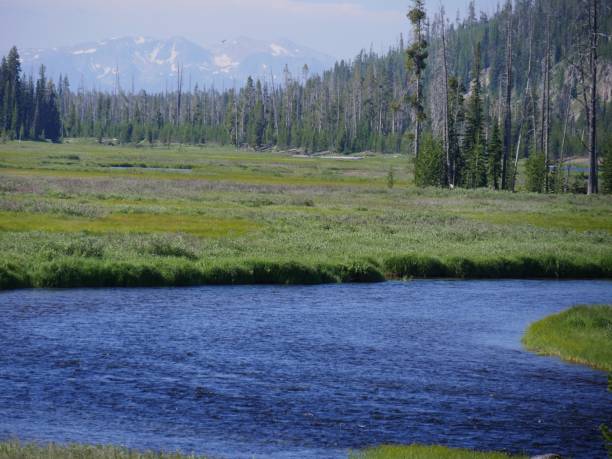 istock Lewis River, Yellowstone National Park 1083747662