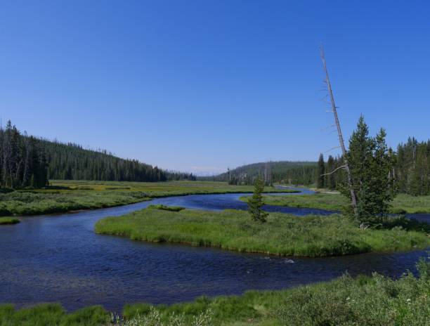 istock Lewis River, Yellowstone National Park 1083747736