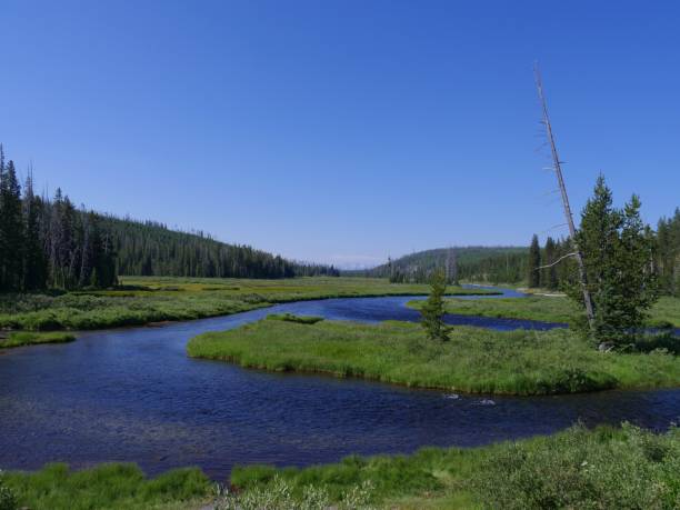 istock Lewis River, Yellowstone National Park 1083747758