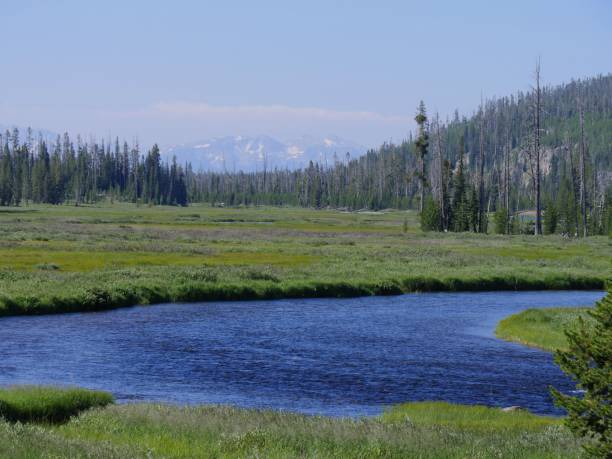 istock Lewis River, Yellowstone National Park 1083747760