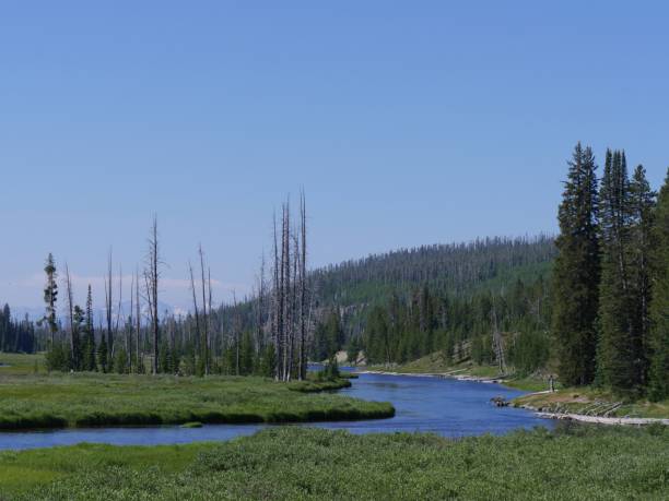 istock Lewis River, Yellowstone National Park 1083747826