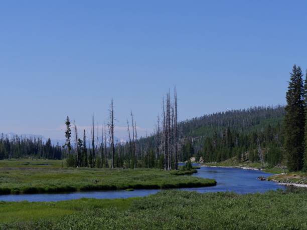 istock Lewis River, Yellowstone National Park 1083747828
