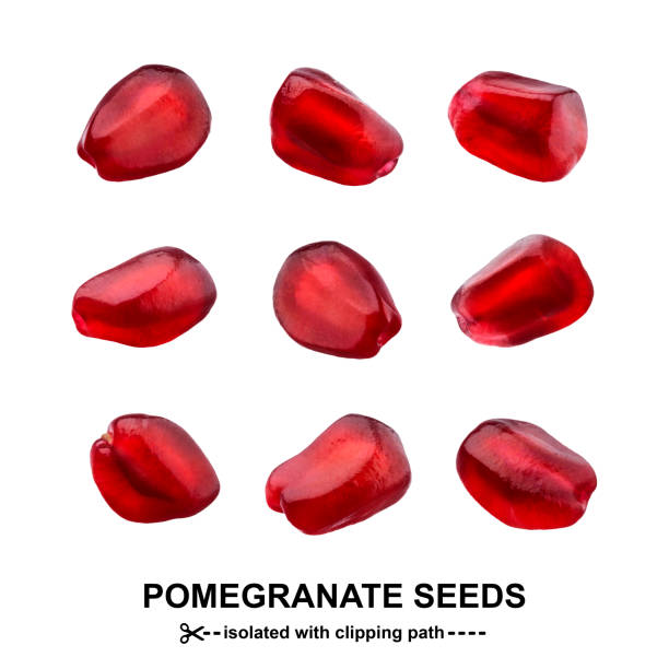 istock One Pomegranate seed isolated on white background, close-up 1083752856