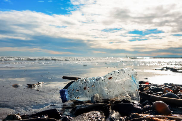 istock Plastic bottle on wet sand thrown out by the sea wave. 1083758018