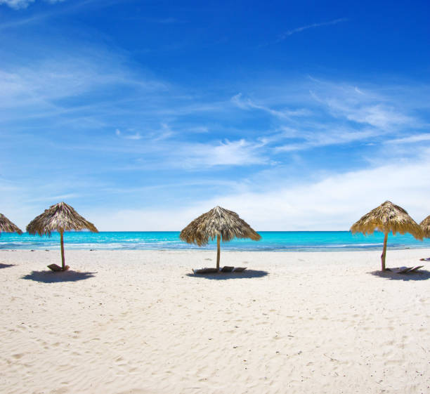 istock blue caribbean sea beach 1083761726