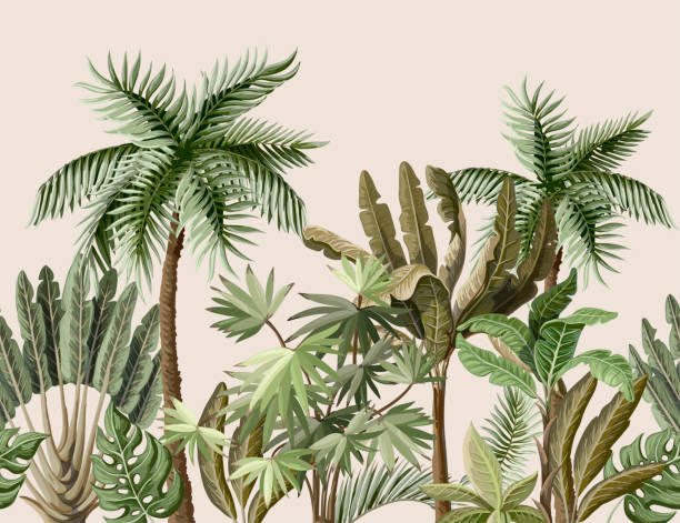 illustrations, cliparts, dessins animés et icônes de frontière sans soudure avec des arbres tropicaux tels que palm, banane. vector. - kakadu