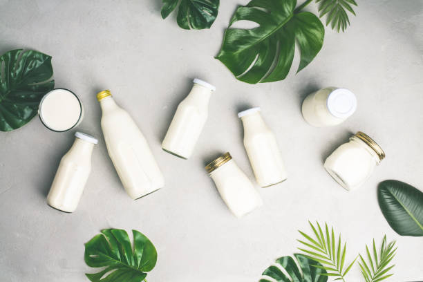 istock Various bottles of milk and tropical leaves 1083766582