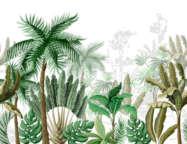ilustrações de stock, clip art, desenhos animados e ícones de seamless border with tropical tree such as palm, banana. vector. - kakadu