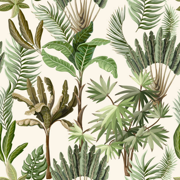 Seamless pattern with exotic trees such us palm and banana. Interior vintage wallpaper. Seamless pattern with exotic trees such us palm and banana. botany stock illustrations