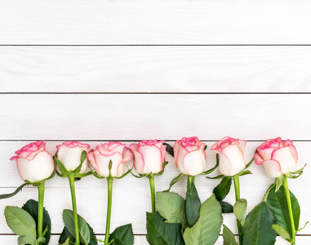 istock Beautiful roses on white wooden table. Space for text. 1083769666