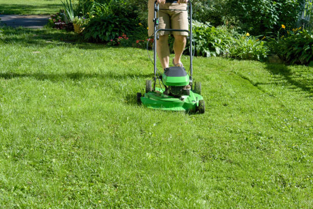 istock Low Section Of Man Mowing Lawn 1083770002