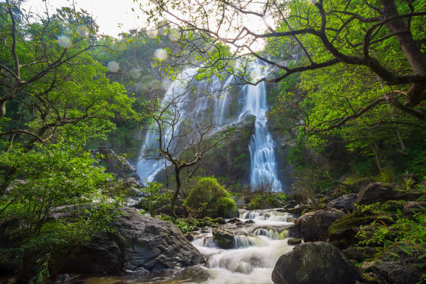 istock Beautiful waterfalls in Asia. 1083770116