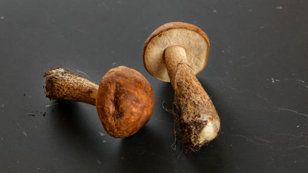 две свежесобранные грибы (стебель scaber / scabrum leccinum) почвы и грязи из леса еще на них, на темно-серый, доска. - mushroom stem cap plate стоковые фото и изображения