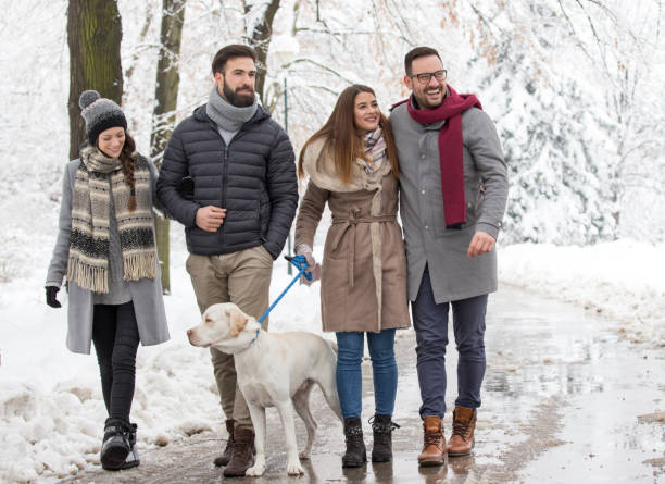 istock Friends walking in park on snow 1083781378