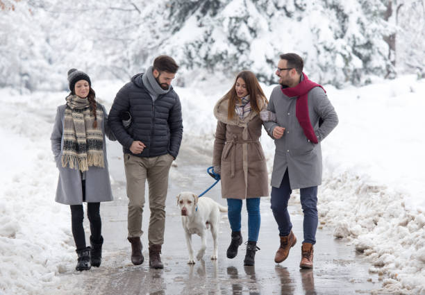 istock Friends walking in park on snow 1083781384