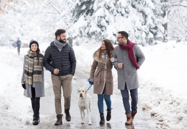 istock Friends walking in park on snow 1083781386