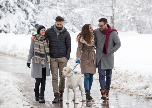istock Friends walking in park on snow 1083781586
