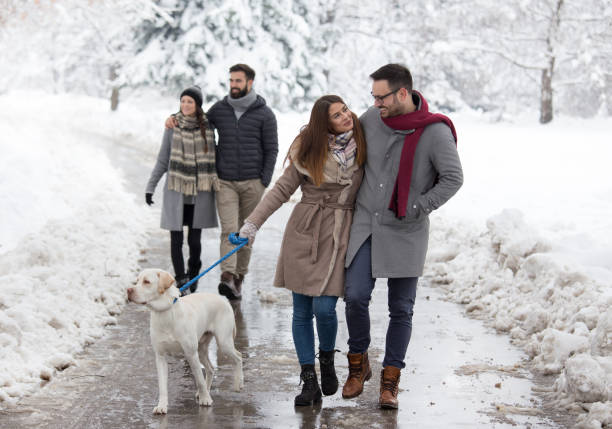 istock Friends walking in park on snow 1083781718