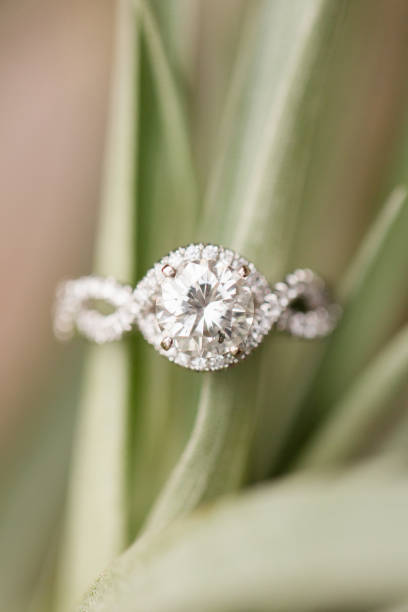 istock Diamond Engagement Ring on a Air Plant 1083783060