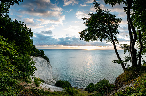 Summer sunrise over the Baltic Sea from the top of the cliffs at Møns Klint on the island of Møn in Denmark.  Colour horizontal with some copy space.
