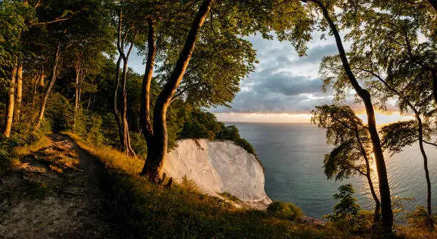 Summer sunrise over the Baltic Sea from the top of the chalk cliffs at Møns Klint on the island of Møn in Denmark. Panoramic made up of 5 vertical images stitched together. Colour horizontal with some copy space.