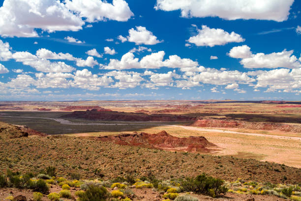 ampia terra aperta del deserto di panited in arizona, usa - holbrook foto e immagini stock