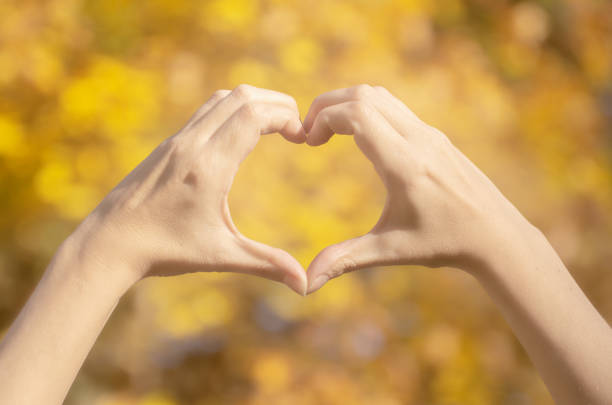 istock Female hands heart shape on nature sun light flare and blur leaf abstract background. 1083795030
